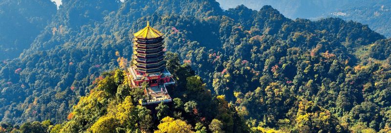 Billet Excursion privée aux monts Qingcheng et Dujiangyan