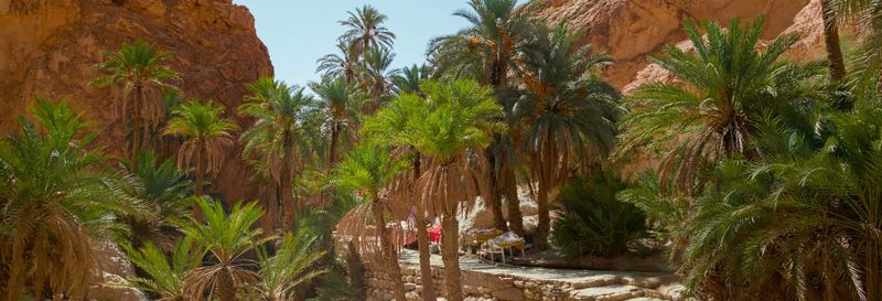 Billet Excursion de 2 jours à Chott El Jerid, Tozeur et Douz