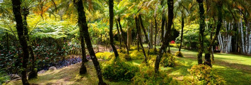Billet Navette pour le jardin botanique de Balata