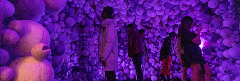 Billet Billet pour le Moco Museum d'Amsterdam