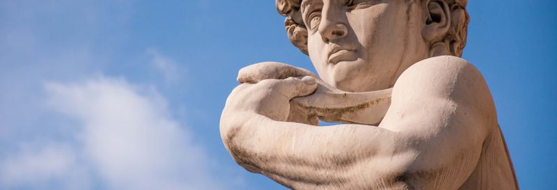 Billet Visite guidée de la Galerie de l'Académie