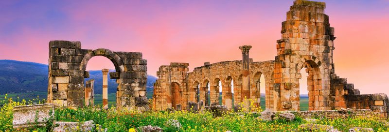 Billet Excursion privée à Volubilis, Moulay Idriss et Meknès
