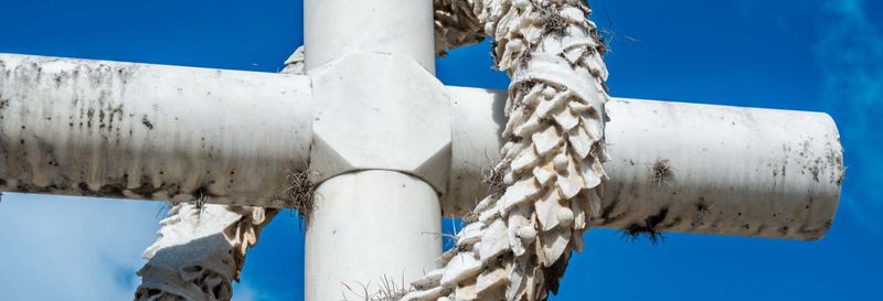 Billet Visite guidée du cimetière General del Sur