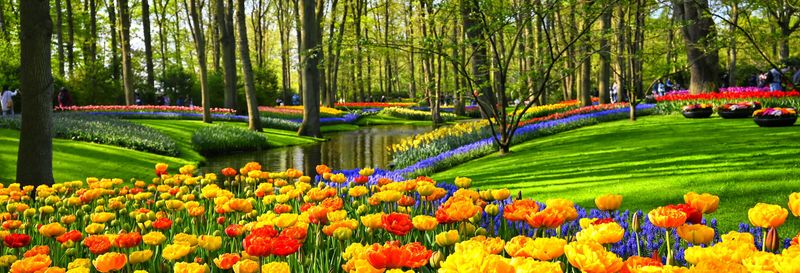 Billet Bus et billet pour Keukenhof + Bateau dans les moulins des les lacs de Kaag