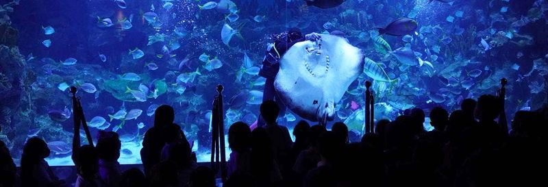 Billet Billet pour Aquaria KLCC