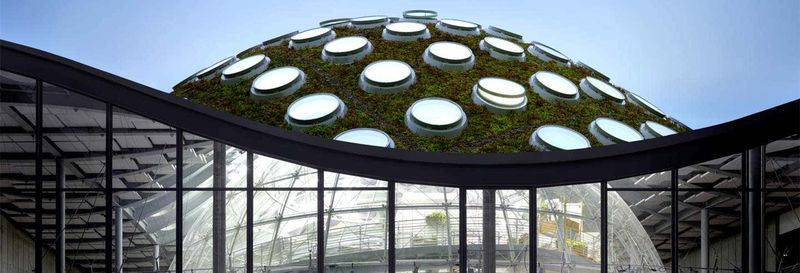 Billet Billet pour l’Académie des Sciences de Californie