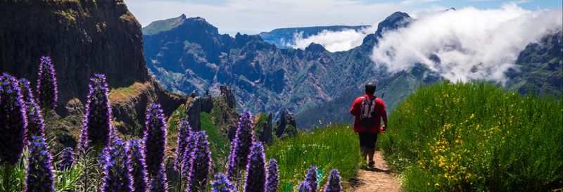 Billet Randonnée à Madère