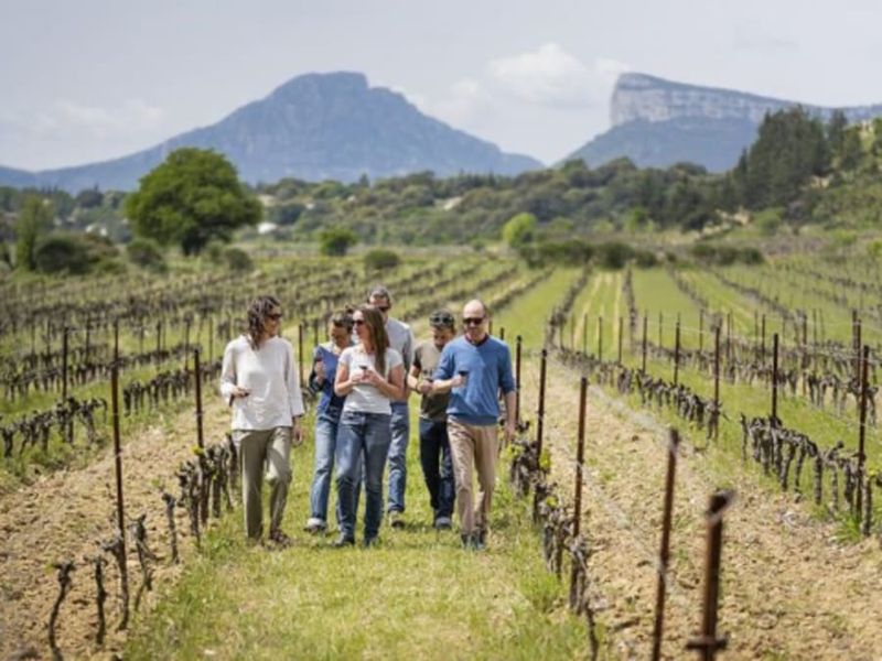 Billet Balade œnotouristique dans la vallée du Pic Saint-Loup (34)