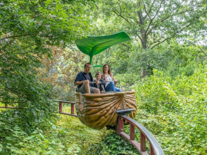 Billet Billet pour Terra Botanica (49)