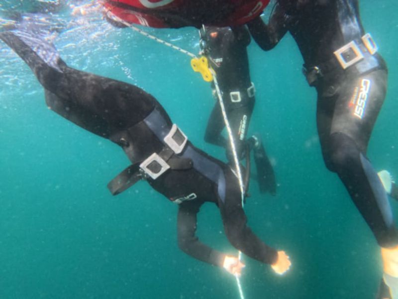 Billet Stage plongée sous-marine de 3 demi-journées à Groix (56)