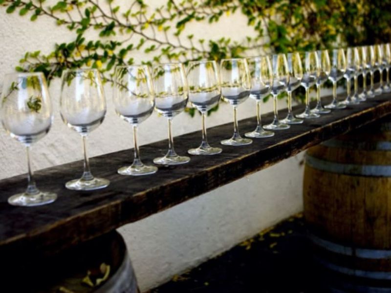 Billet Visite du domaine et cours d'œnologie près de Nantes (44)