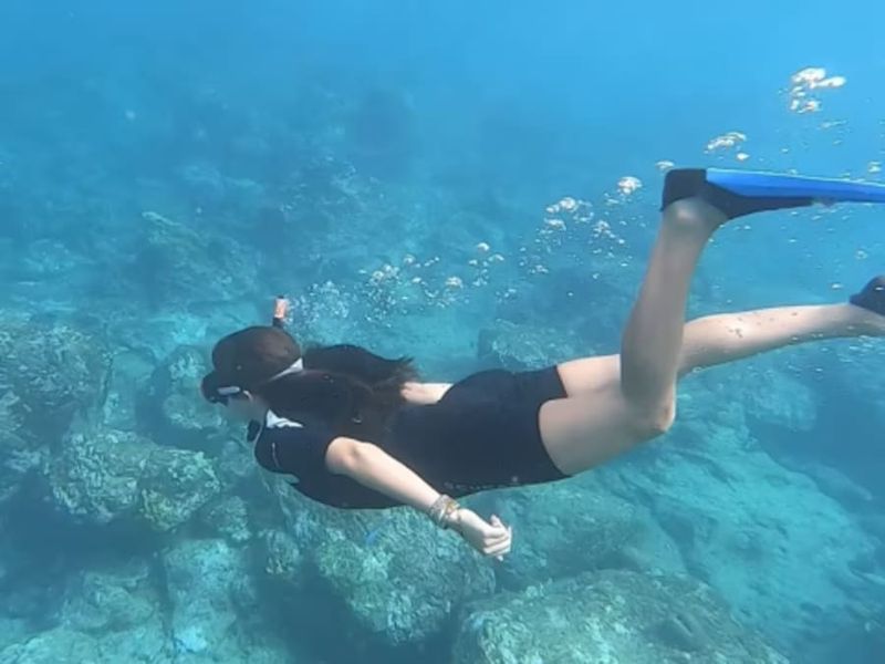 Billet Snorkeling en Guadeloupe (971)