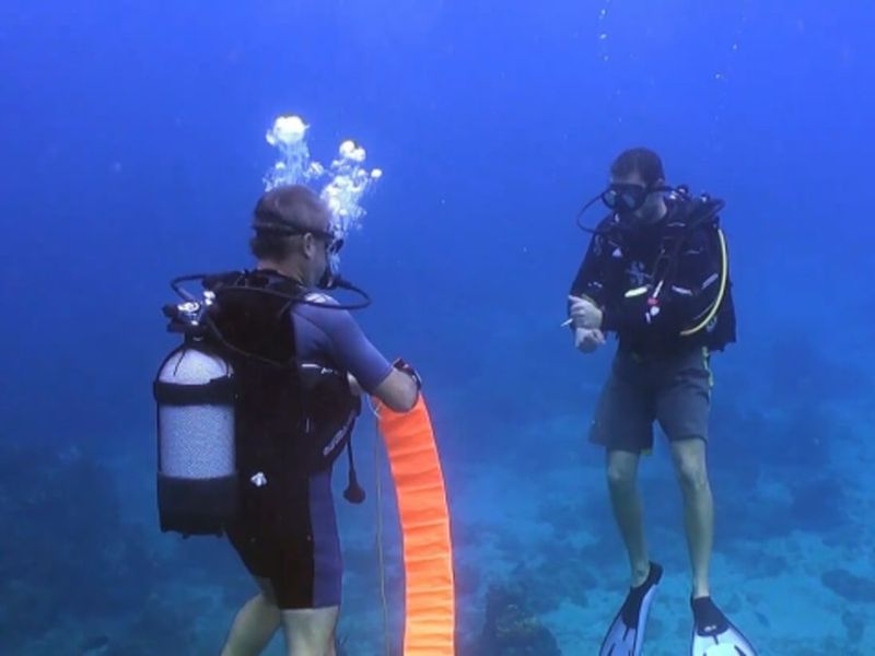 Billet Formation à la plongée sous-marine SSI à Bouillante (971)