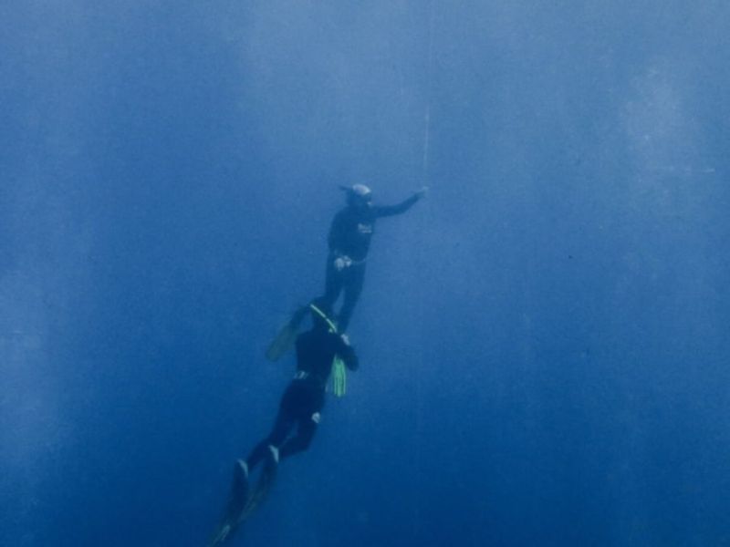 Billet Initiation à l'apnée dans la réserve Cousteau à Bouillante (971)