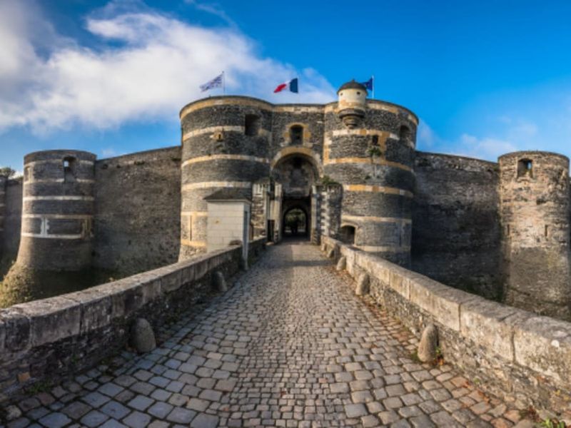 Billet Billet pour le Château d'Angers (49)