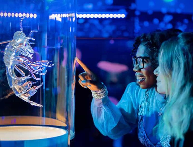 Billet San Francisco : California Academy of Sciences billet d'entrée