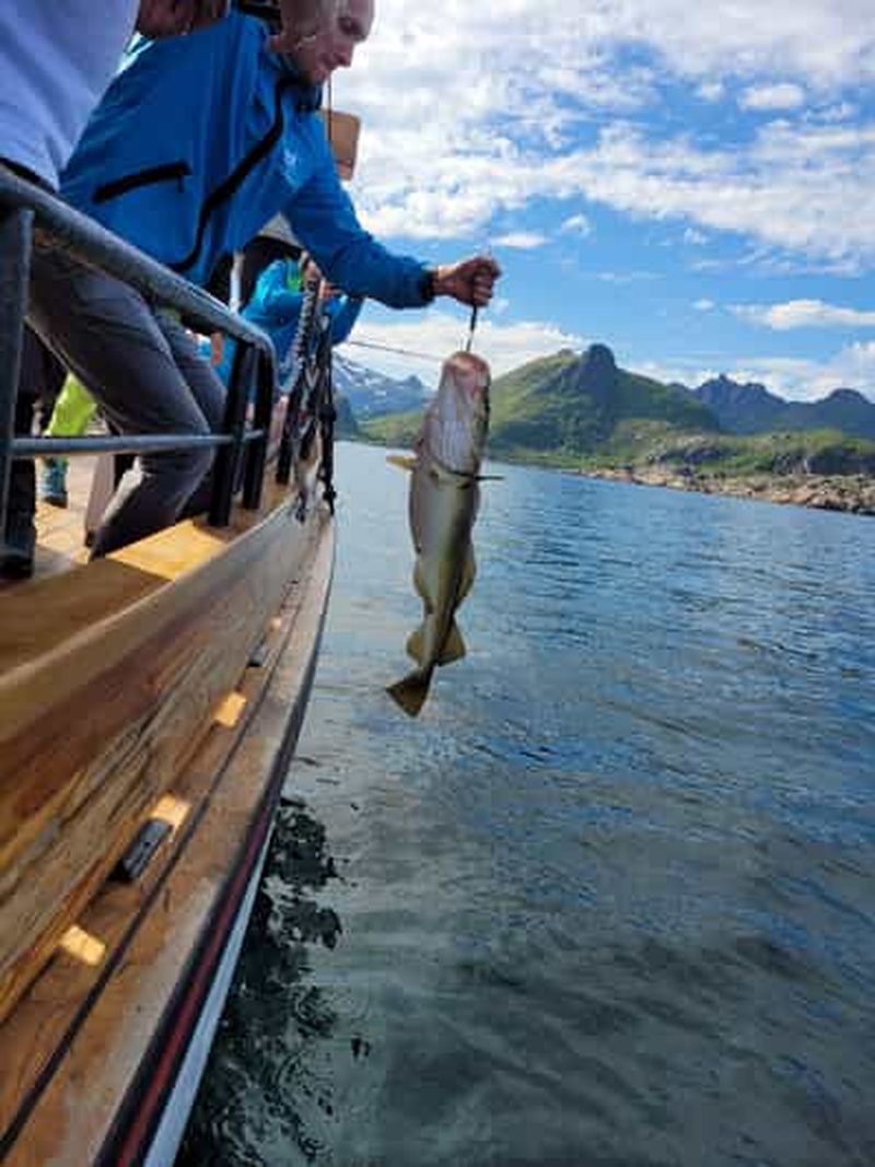 Billet Depuis Svolvær : croisière en bateau de pêche aux Lofoten