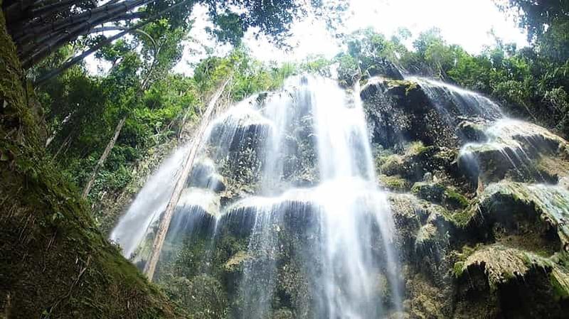 Billet Cebu : WhaleShark, chutes de Tumalog et plongée en apnée à Sardine Run