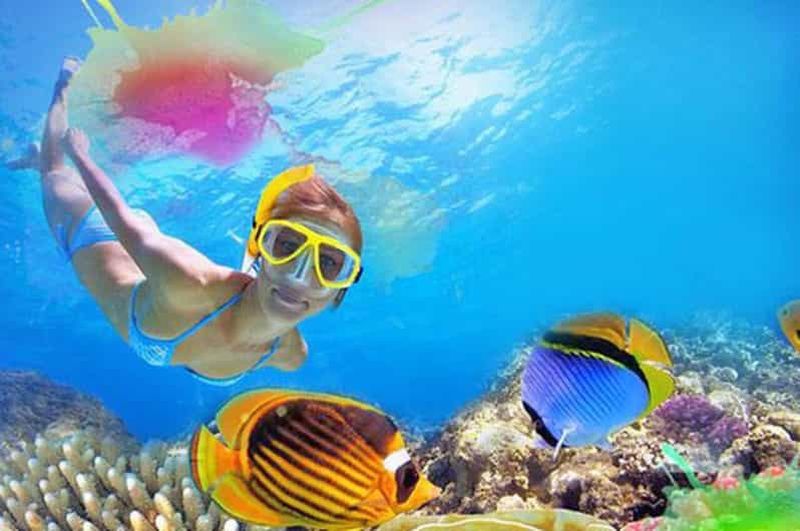 Billet Brésil : aventure de snorkeling