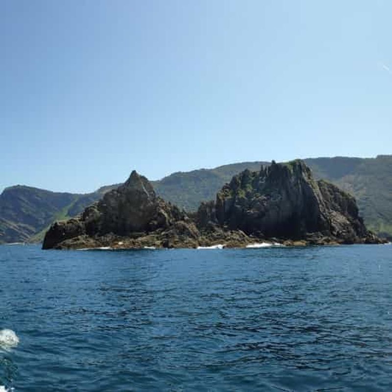 Billet Biscaye : excursion en bateau dans la baie de Gorliz et l'île de Billano