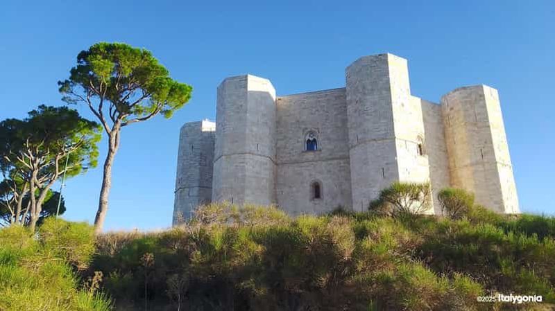 Billet Otrante : visite exclusive d'une journée à Trani et Castel del Monte