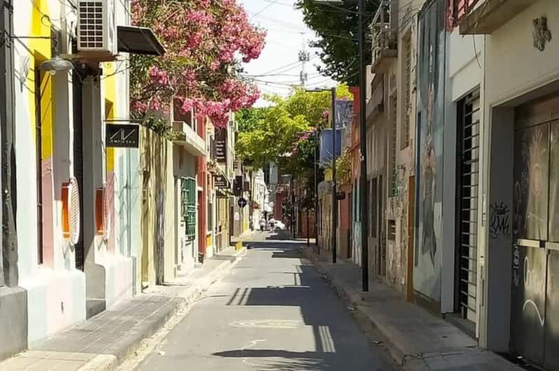 Billet Dégustation de vin argentin et de Malbec de première qualité et visite d'art urbain