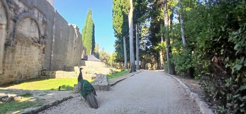 Billet Randonnée panoramique sur l'île de Lokrum : histoire, nature et recoins cachés