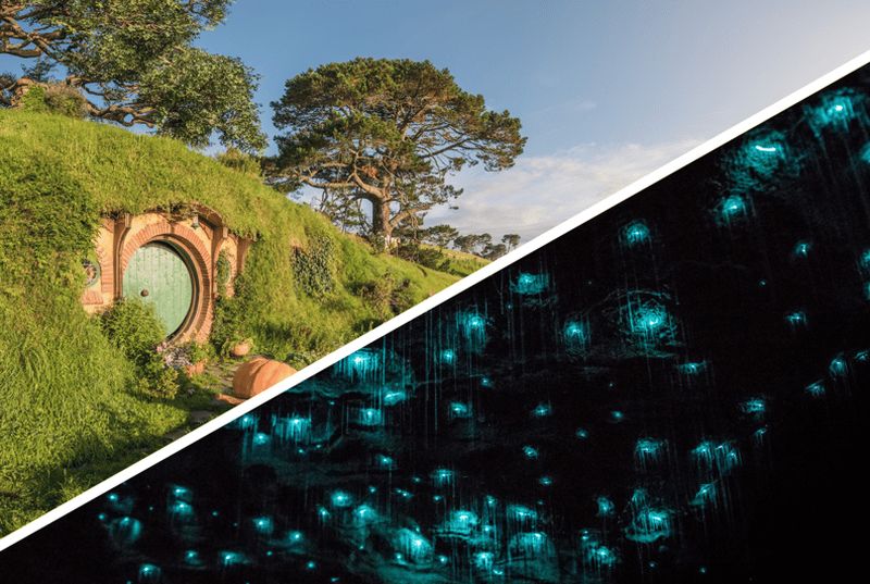 Billet Auckland : visite en petit groupe de Hobbiton et des grottes de Waitomo avec déjeuner