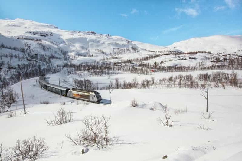 Billet Bergen : village viking, croisière dans le Nærøyfjord et chemin de fer de Flåm