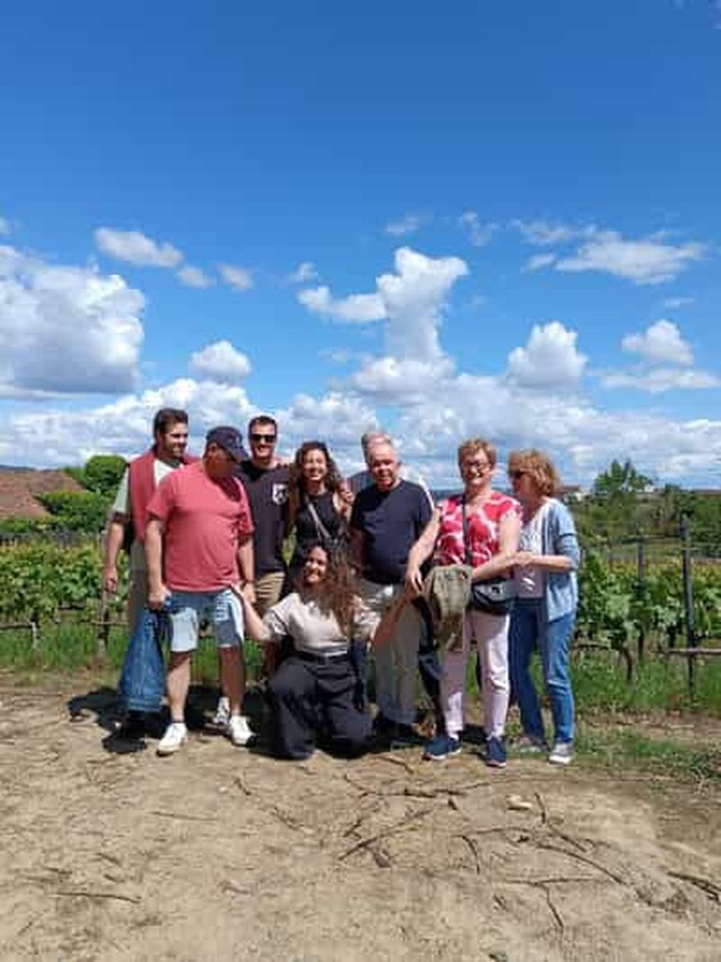 Billet Porto : visite de la vallée du Douro avec 2 caves, déjeuner et croisière