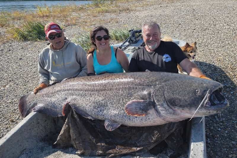 Billet Pêche du silure en Camargue et visite en bateau du pont d'Avignon