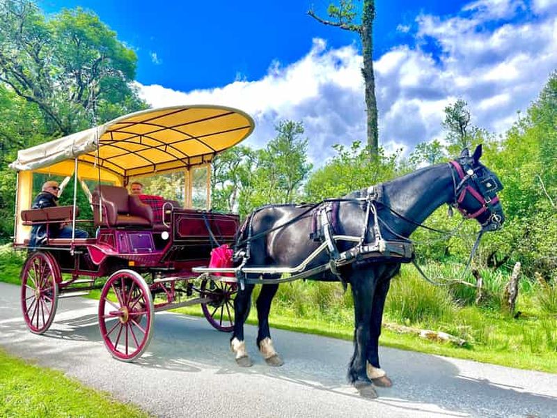 Billet Visite privative du parc national de Killarney