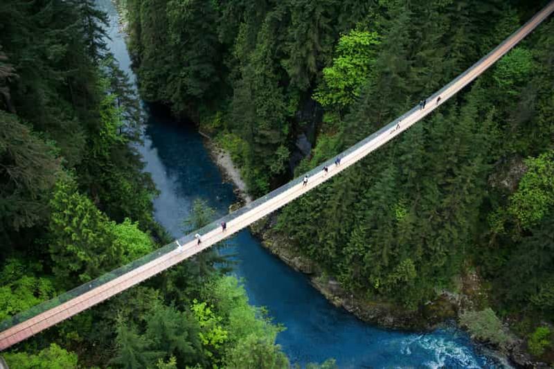 Billet Vancouver : Billet pour le parc du pont suspendu de Capilano