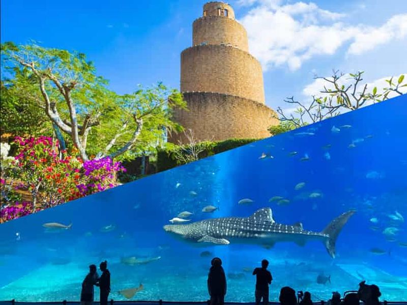 Billet Visite en autocar du parc Churaumi ou du parc tropical d'Okinawa et du village américain de Kouri