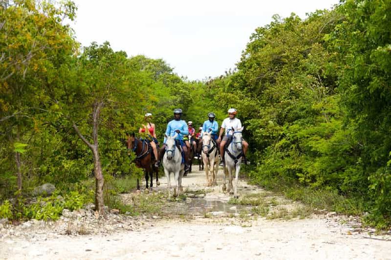 Billet Cheval de nage au départ de Punta Cana