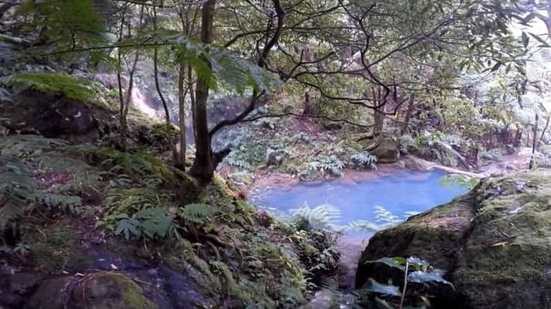 Billet Lagoa do Fogo : visite guidée du volcan par un biologiste et sources chaudes