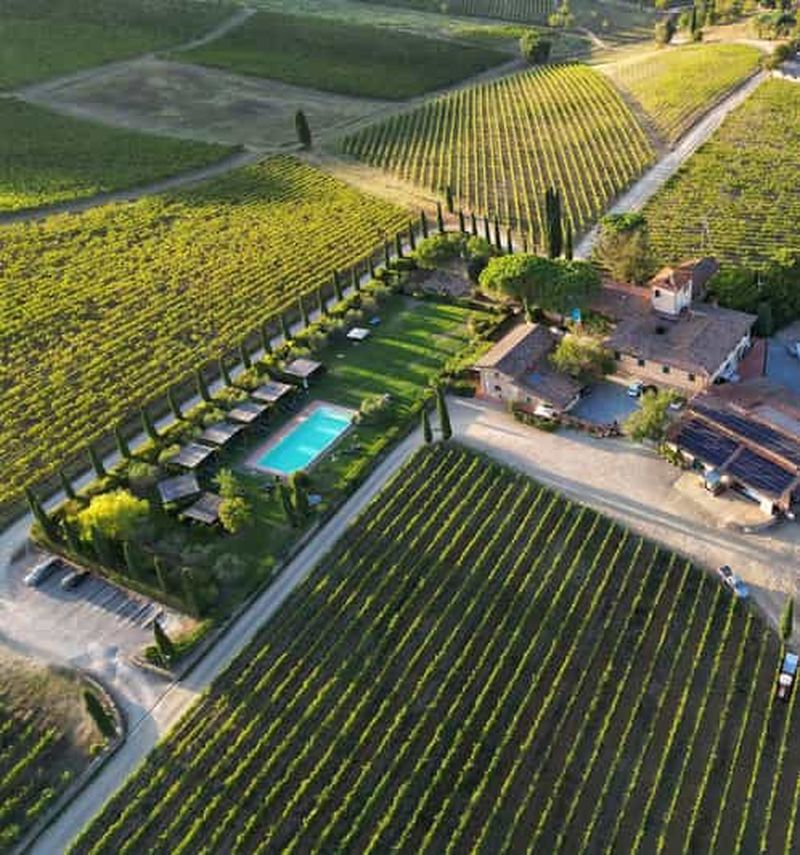 Billet Découvrez les vins du Chianti Classico avec une visite et une dégustation à Viticcio