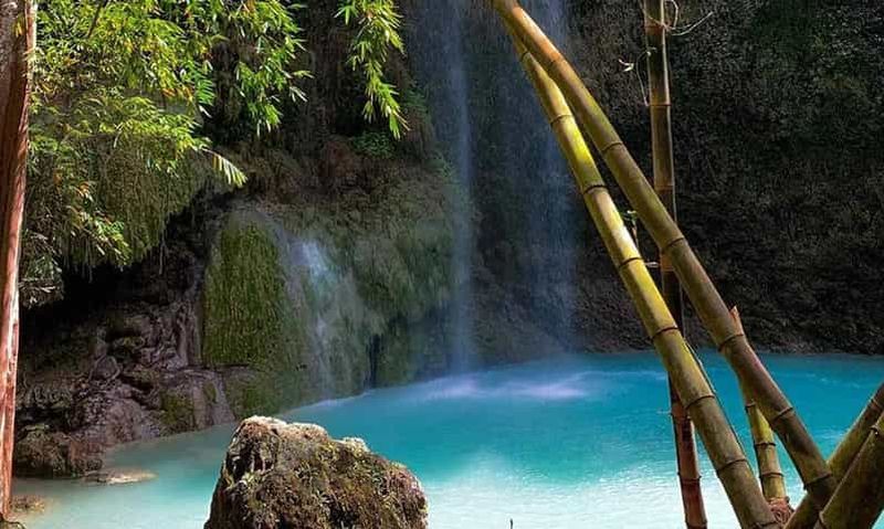 Billet Cebu : requins baleines d'Oslob, chutes de Tumalog et banc de sable de Sumilon