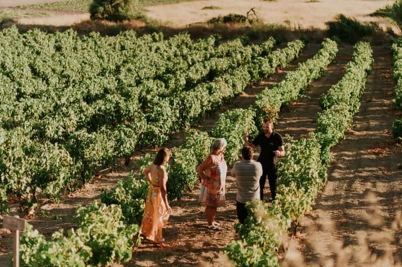 Billet Île de Milos : Dégustation de vin dans le vignoble de Kostantakis