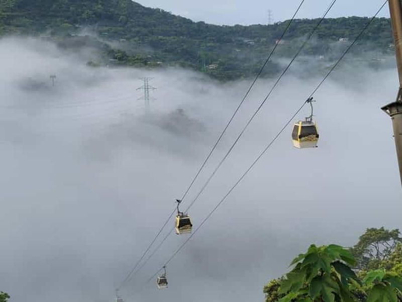 Billet Taipei : zoo, télécabine de Maokong et billet Expérience