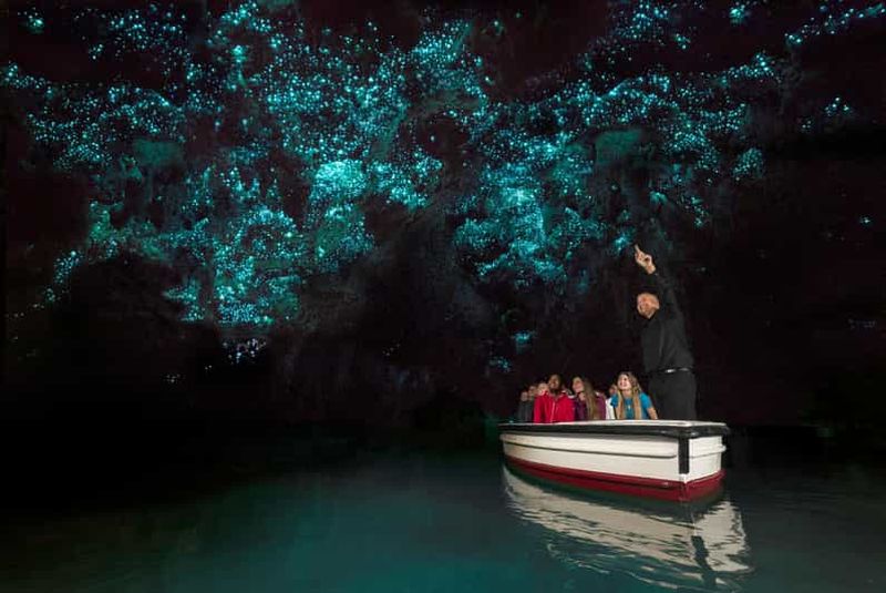 Billet Au départ d'Auckland : Excursion à la journée aux grottes des vers luisants de Waitomo