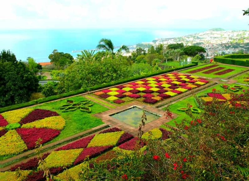 Billet Funchal : Visite en Tuk-Tuk du Jardin Botanique de Madère et de la Vieille Ville