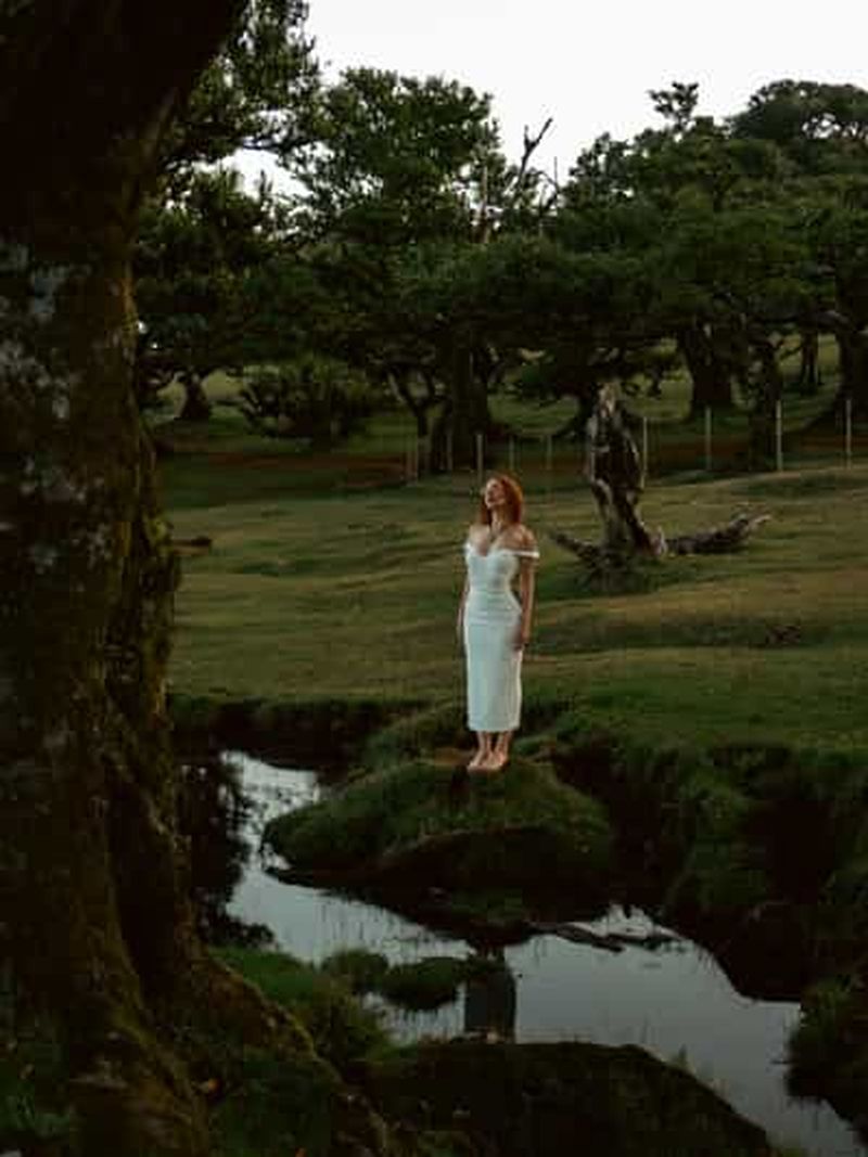 Billet Madère : visite de la forêt de Fanal, des cascades et des piscines de lave