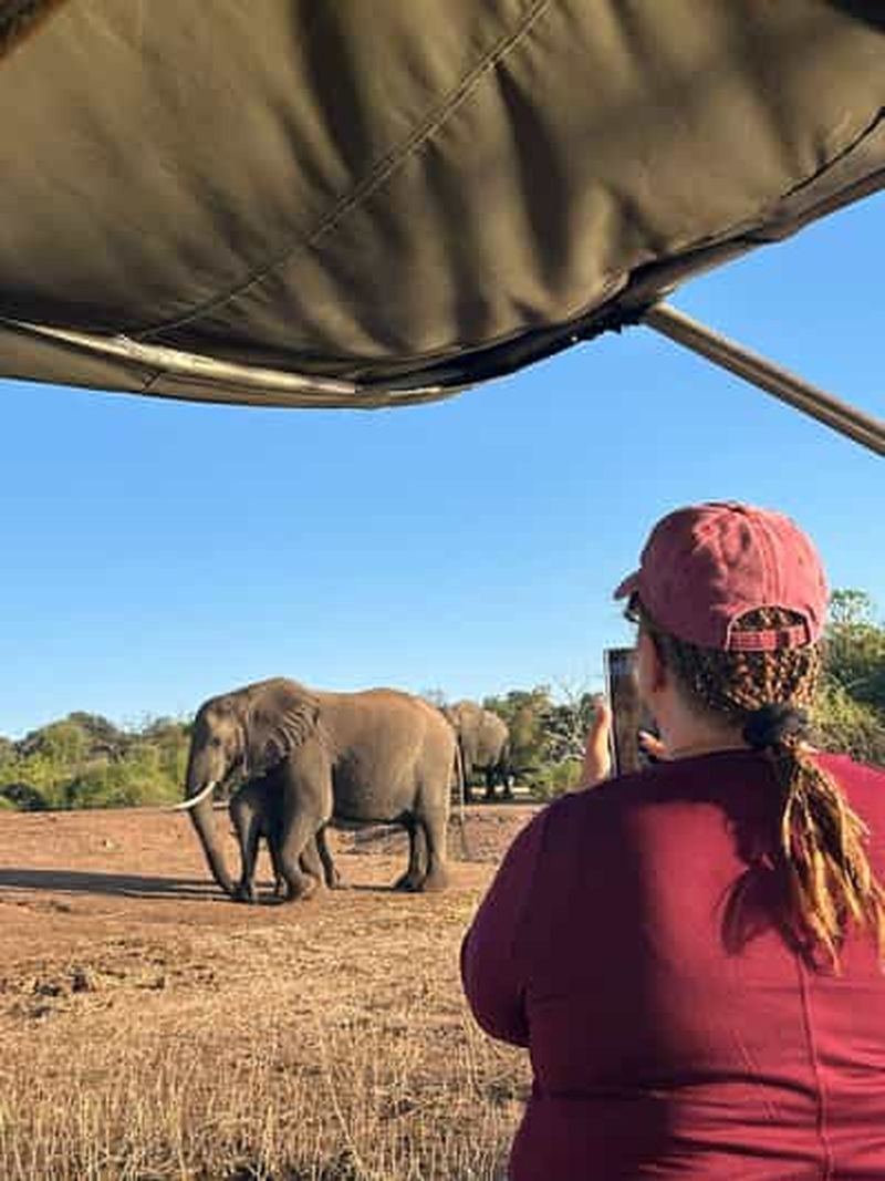 Billet Chutes Victoria : safari au parc national de Chobe et dîner-spectacle