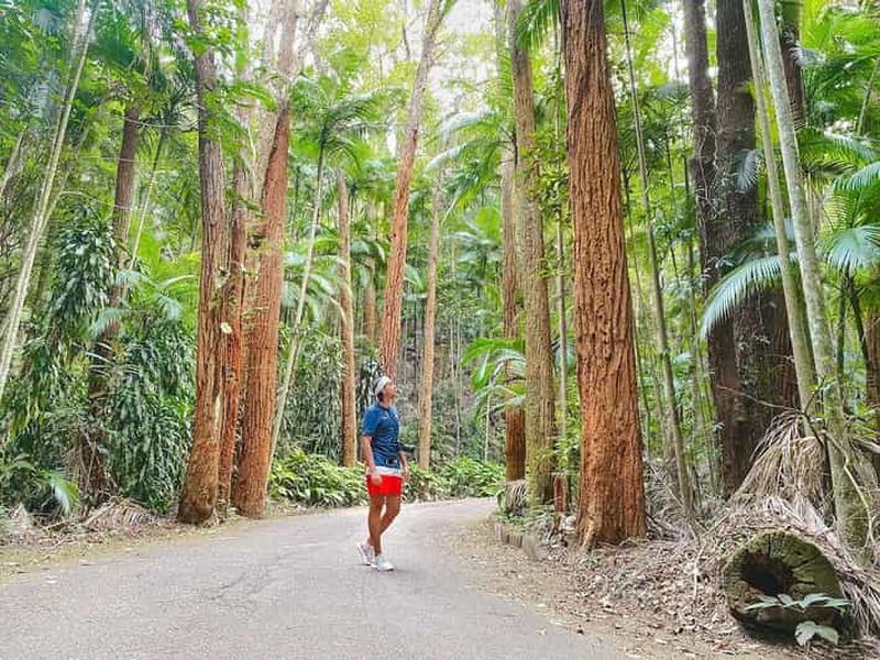 Billet Nature inoubliable : Visite de la forêt de Tijuca et du Jardim Botânico