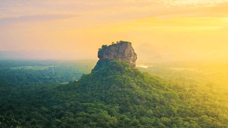 Billet Randonnée au Rocher du Lion de Sigiriya et safari dans le parc national de Minneriya