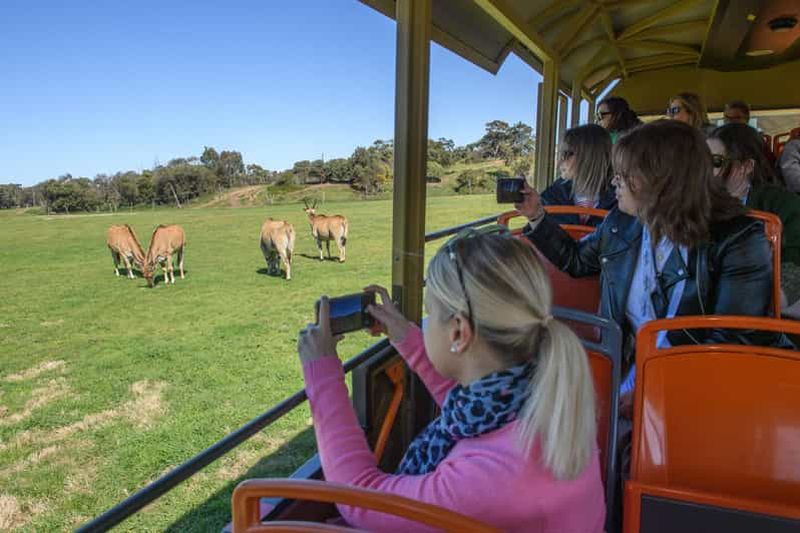 Billet Depuis Melbourne : Zoo de Werribee et manoir de Werribee
