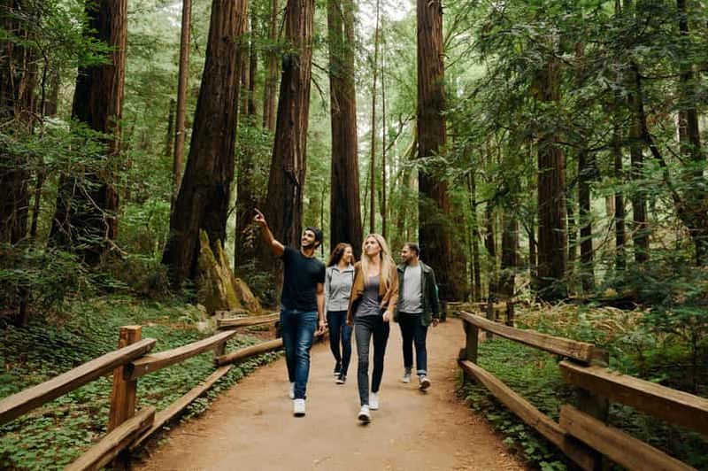 Billet San Francisco : Alcatraz, visite citadine, Muir Woods et Sausalito