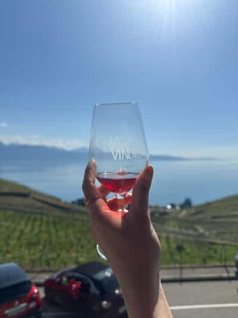 Billet Vin et vignoble de Lavaux avec croisière