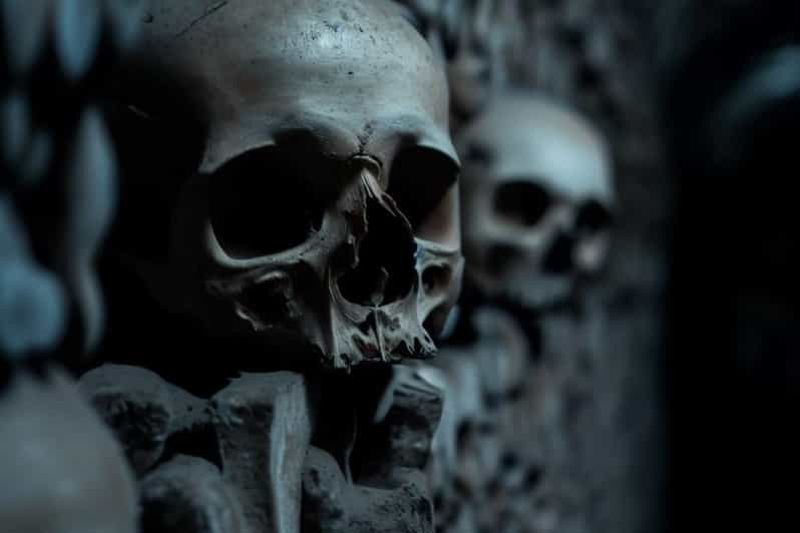 Billet Paris : catacombes, audioguide et croisière fluviale en option